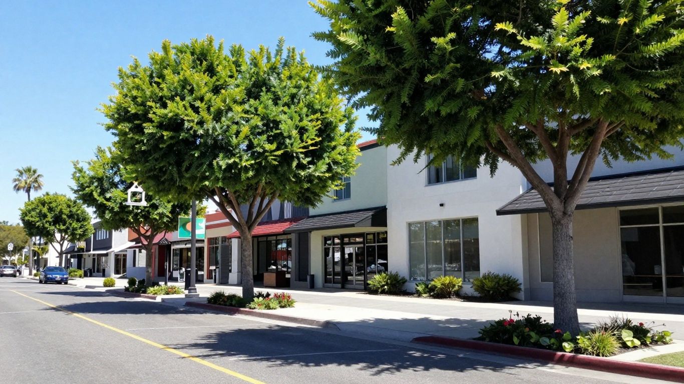 Best Dispensaries Pot Weed Shops Near Me Irvine CA